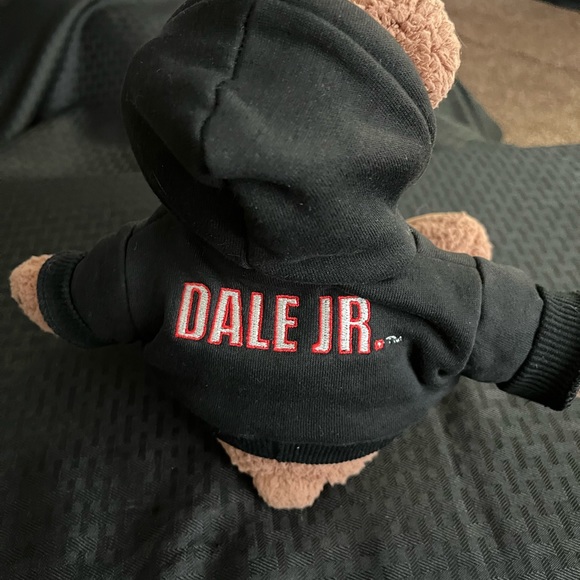 NASCAR # 8 Dale Earnhardt Jr. Stuffed Animal Plush Bear 12” - Picture 5 of 8